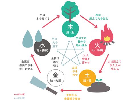 精油 五行|陰陽五行論と精油で健康で楽しい毎日へ②【アロマテ。